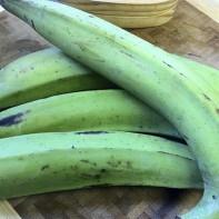 Photo du plantain