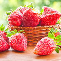 Photo de fraises 4