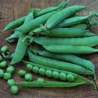 Bienfaits et inconvénients du pois