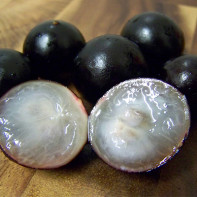 Photo de jabuticaba 3