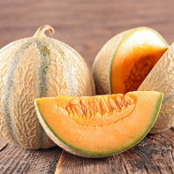 Foto der Melone 2