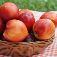 Photos de nectarines 5