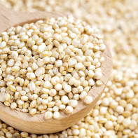 Photo de grains de quinoa 2