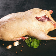 Foto von Gänsefleisch 5