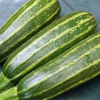 Foto von Zucchini 4