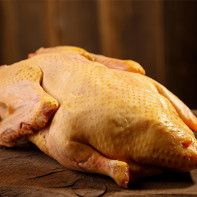 Foto von Gänsefleisch 2