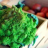 Photo de chou romanesco 5