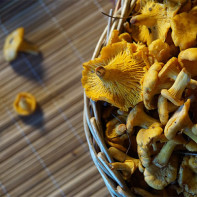 Photo de girolles 7