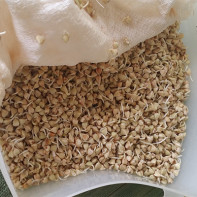 Photo de sarrasin germé 5