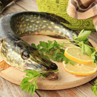 Photo de brochet 3