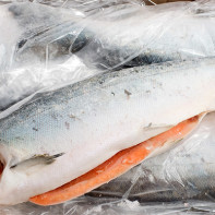 Photo du poisson kijoutch 4