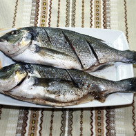 Photo de la dorade 2