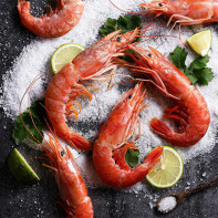 Photo de crevettes 6