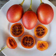 Photo de tamarillo 2
