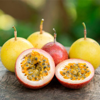 Photo du fruit de la passion 3