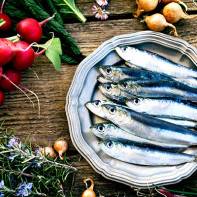 Photo de sardines 2
