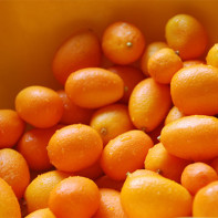 Photo de kumquat 3