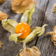 Photo de physalis 4