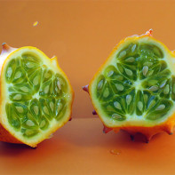 Photo de kivano 3