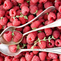 Foto von Himbeeren 4