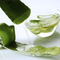 Photo d'aloe 5