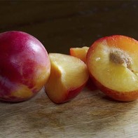 Photo du plumcot 2