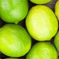 Foto der Limette 5