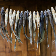 Photo de poisson séché 4