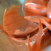 Photo de pelure d'oignon 4