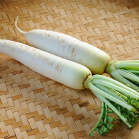 Photo de daikon 4
