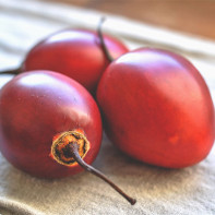Photo de tamarillo 4
