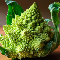 Photo de chou romanesco 4