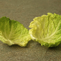 Photo de feuille de chou 3