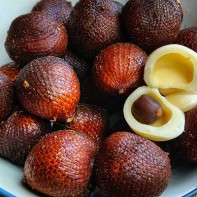 Photo du fruit salak 2