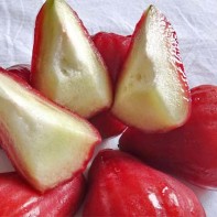 Photo de chompu 4