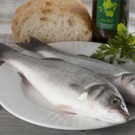 Wolfsbarsch