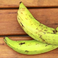Photo du plantain 2