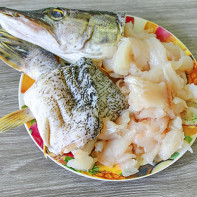 Photo de brochet 4