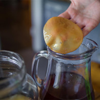 Photo de kombucha 2