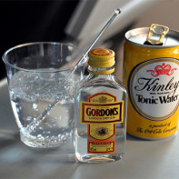 Foto des Gins 3