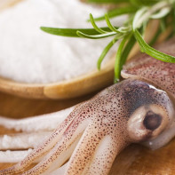 Photo de calamars