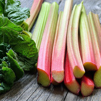 Photo de rhubarbe 4