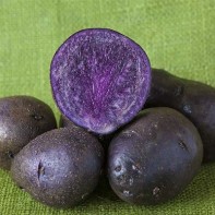 Photo de pommes de terre violettes 3