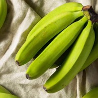 Photo du plantain 3