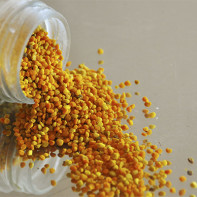 Photo de pollen d'abeille 4