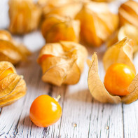 Photo de physalis 2