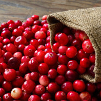 Cranberry-Foto 2