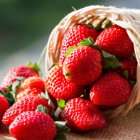 Photo de fraises