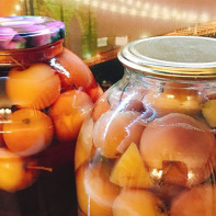 Photo de compote de pommes 5