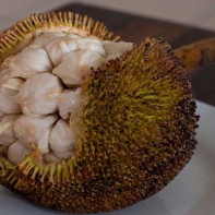 Photo du fruit marang 5
